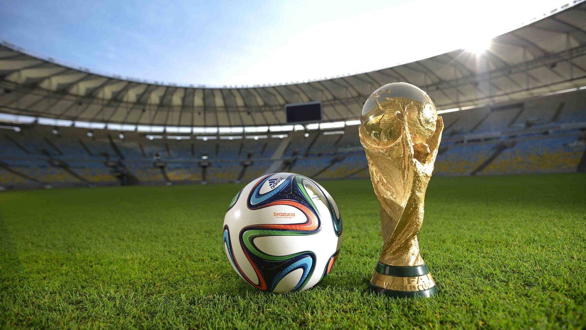 十载坚守终破茧，Ning赛季封神瞬间引爆美国队球迷狂潮